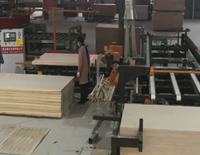 膠合板自動鋸邊機(jī)